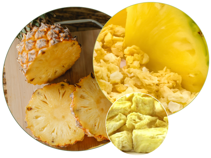 ananas-liofilizowany-2.png