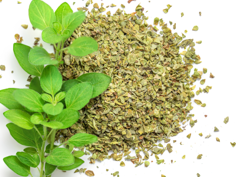 oregano4.png