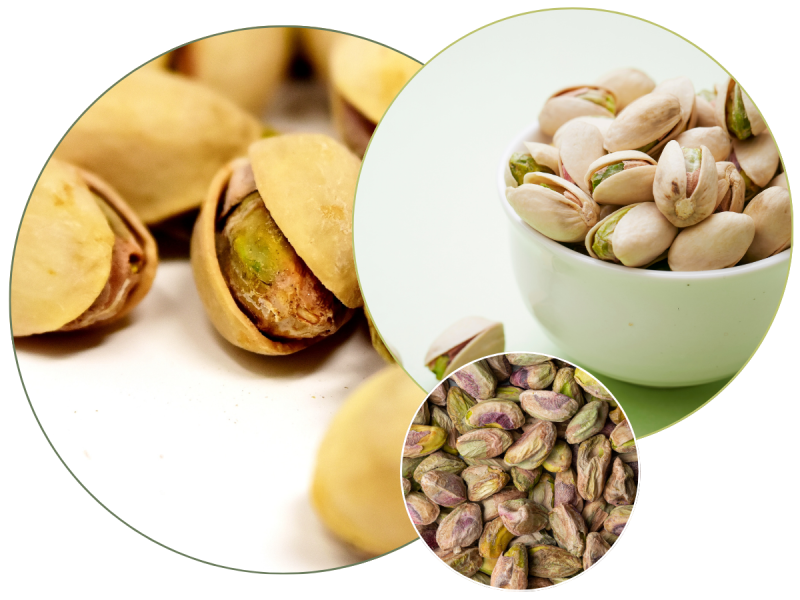 pistacje2.png